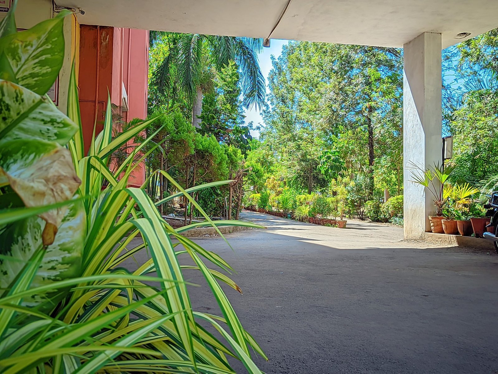 Campus View